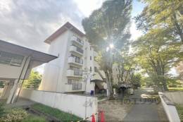 花園団地4号棟外観写真