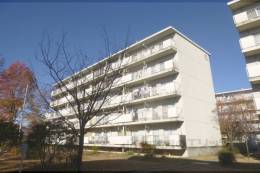 桃山南団地10号棟外観写真