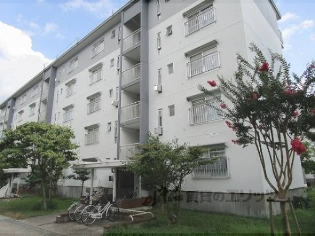 桃山南団地42号棟外観写真3