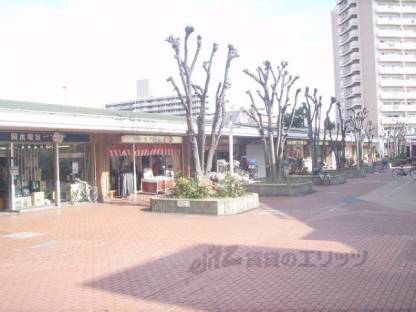 向島ニュータウンセンター商店街Ｂ棟外観写真1