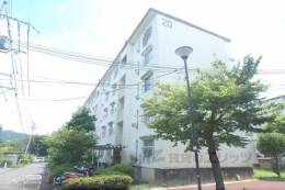 小栗栖北団地20棟外観写真