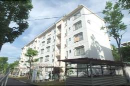 久御山団地42号棟外観写真
