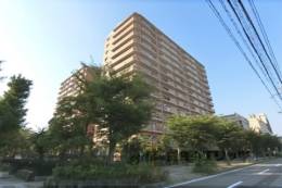 ﾗｲｵﾝｽﾞｽﾃｰｼｮﾝﾌﾟﾗｻﾞ近江八幡弐番館外観写真