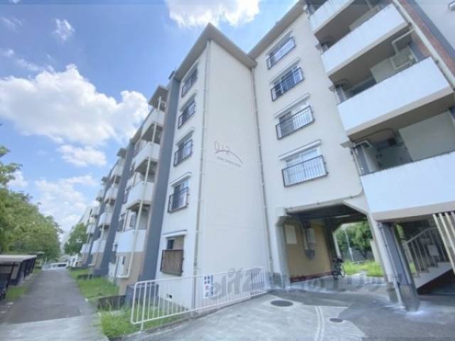 香里ケ丘西団地Ｄ１２号棟外観写真3