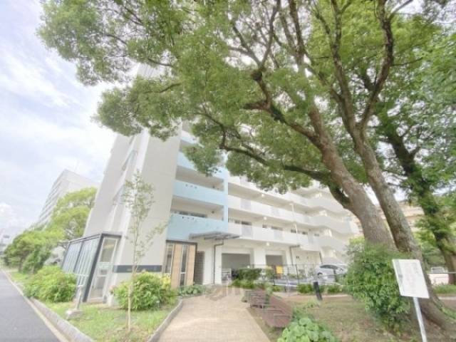 香里ヶ丘けやき東街団地６号棟外観写真3