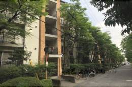 東大路高野第３住宅１９棟外観写真
