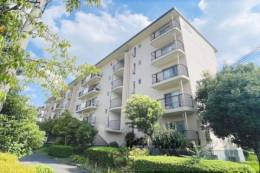 男山第４住宅303棟外観写真