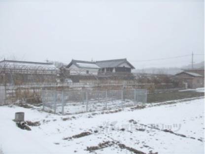 長浜市大依町倉庫・ビニールハウス外観写真3