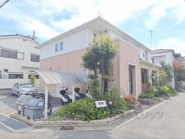 コウノトリ外観写真2