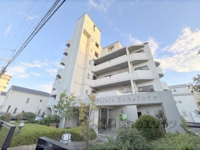 パレエシャロット外観写真3
