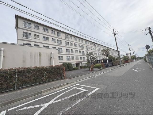 コスモハイツ瑞ケ丘A棟外観写真3