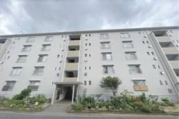 男山第３住宅214号棟外観写真