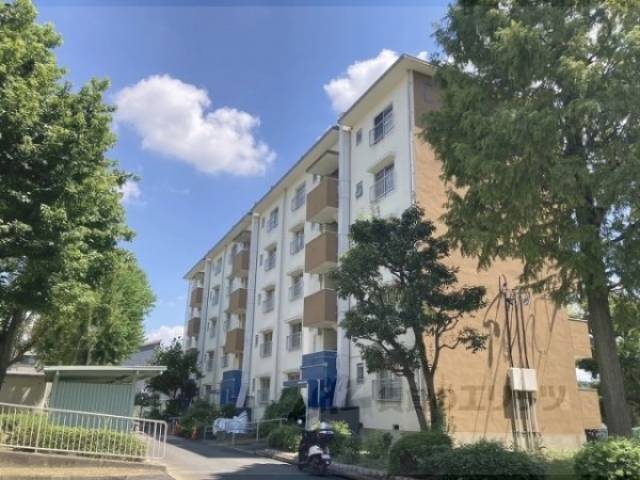 寝屋川団地Ｃ４８号棟外観写真3