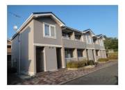 ゴールドパディー6