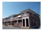 ライブ　ウィル