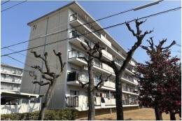 富田団地71号棟外観写真