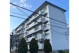 平田台住宅14号棟　301号外観写真