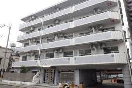 ドミニアムパレス東洋外観写真