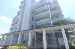 ルミナスベガ外観写真