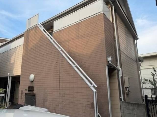 秋桜（コスモス）外観写真1