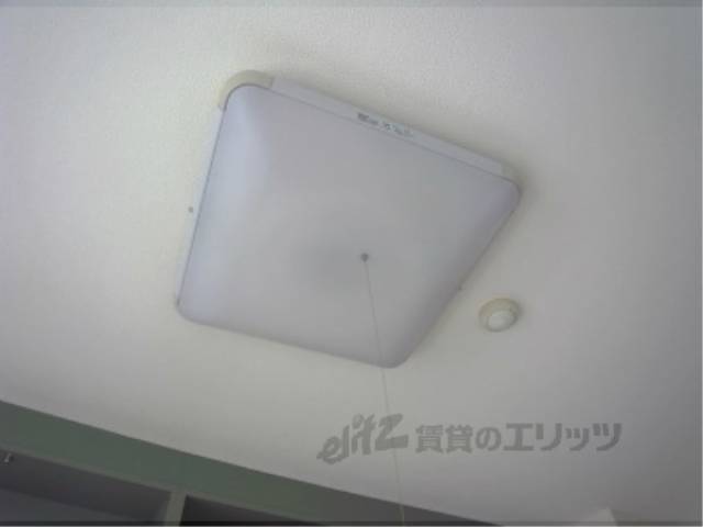 照明