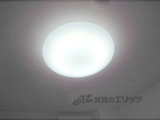 照明
