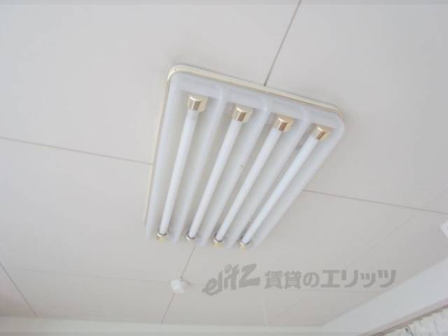 照明