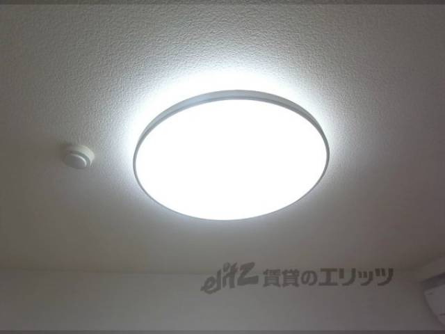 照明