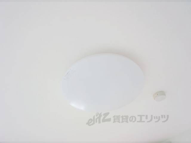 照明