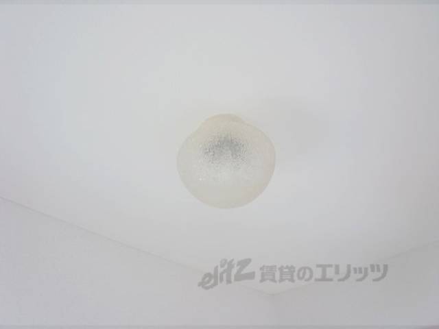 照明