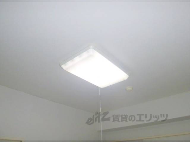 照明