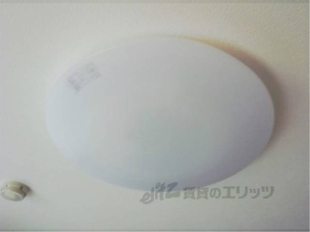 照明