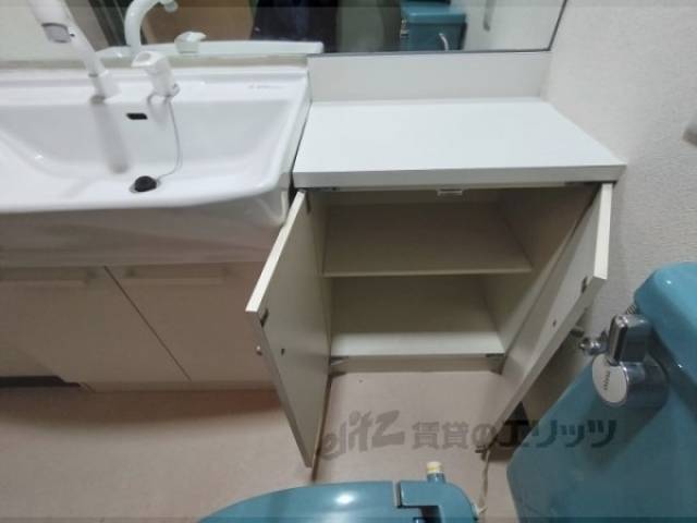 収納 洗面所