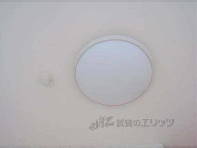 照明