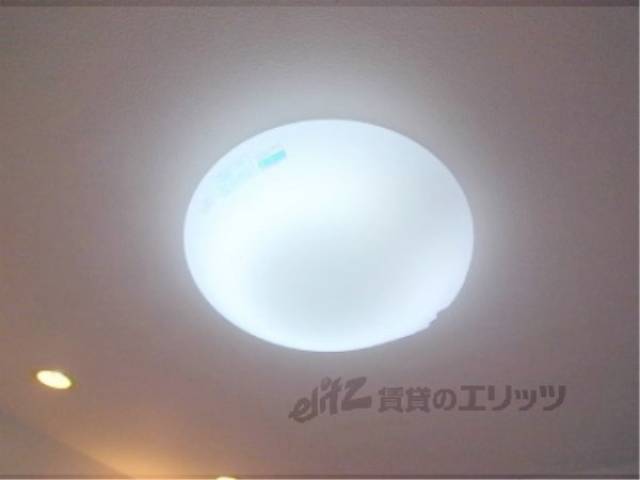 照明
