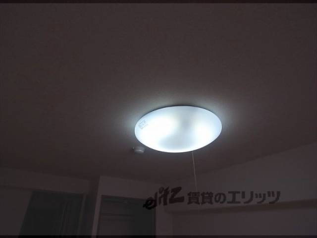 照明