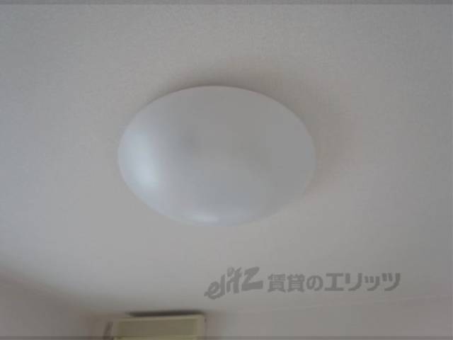 照明
