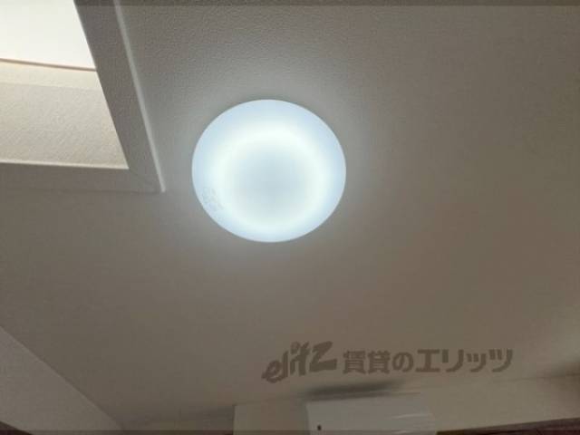 照明