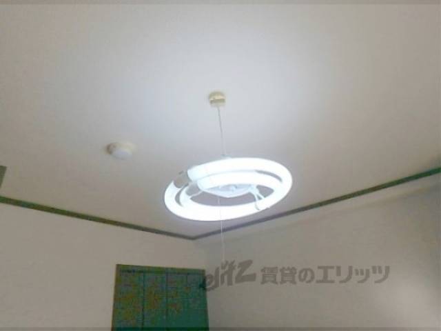 照明