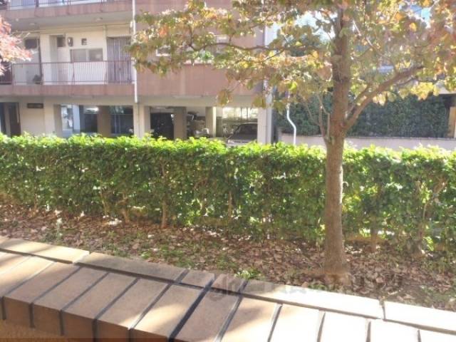 眺望　※1階の眺望です。