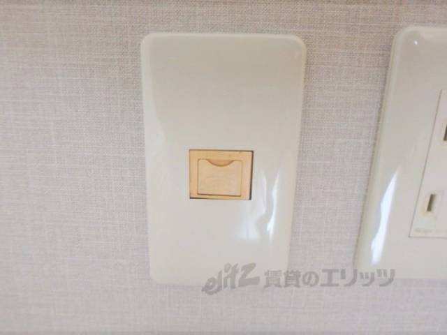 イメージ写真　電話線