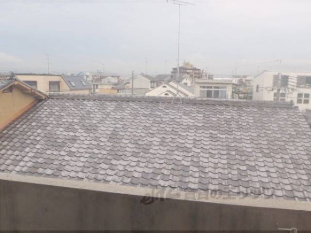 景色