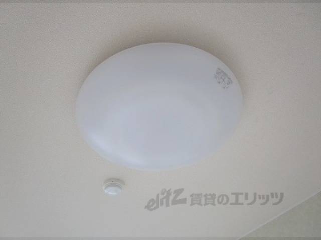 照明