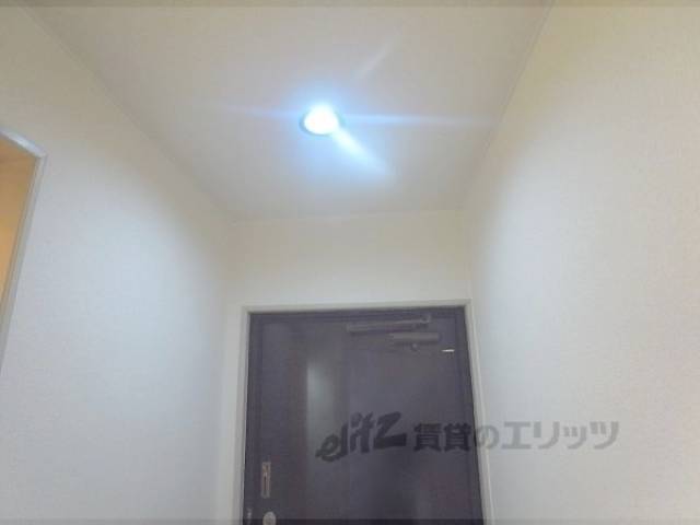 照明