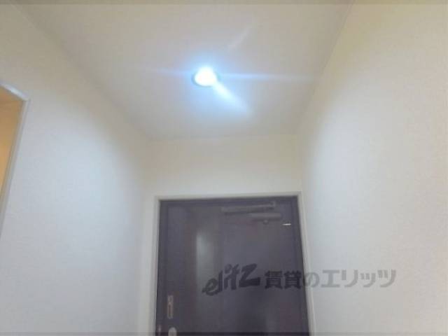 照明