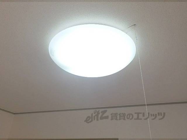 照明