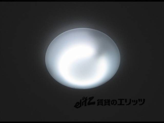照明