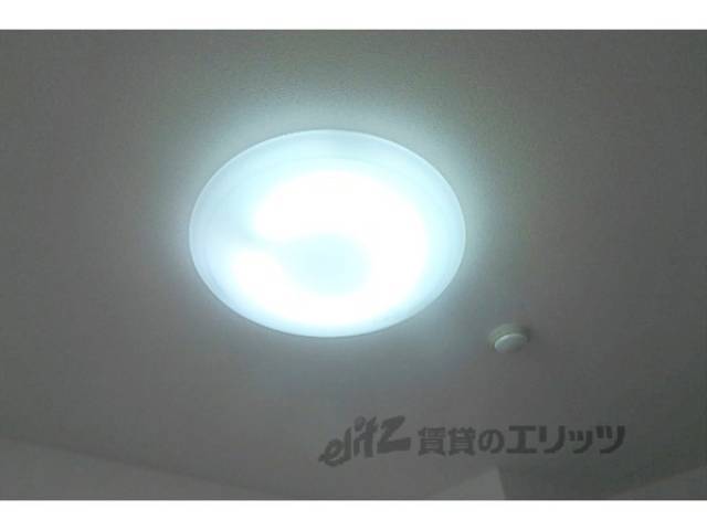 照明