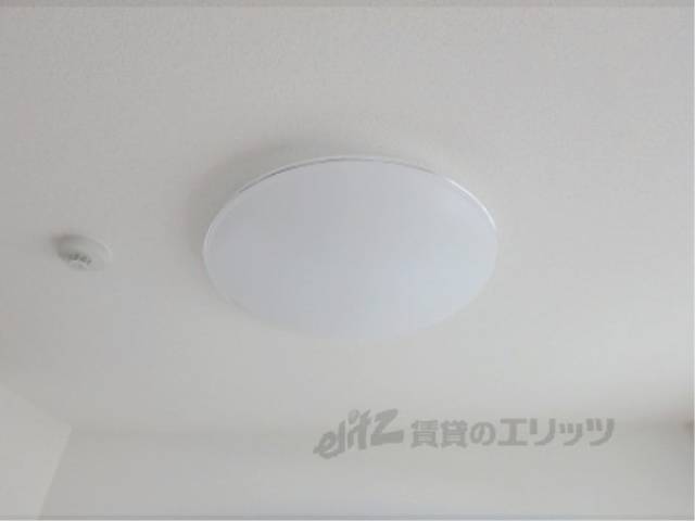 照明
