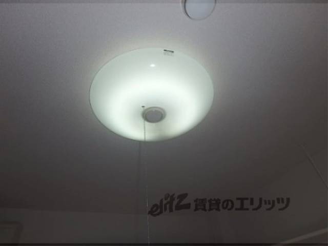 照明